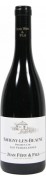 Domaine Jean Féry & Fils - Savigny-lès-Beaune Premier Cru Les Vergelesses BIO - 0.75L - 2022