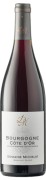 Domaine Michelot - Bourgogne Côte d’Or Pinot Noir - 0.75L - 2020