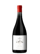 Miguel Torres - La Causa Del Itata Pais - 0.75L - 2021