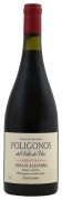 Zuccardi - Poligonos Paraje Altamira Cabernet Franc - 0.75L - 2020