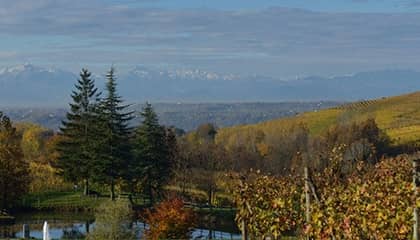 cascina ghercina wein