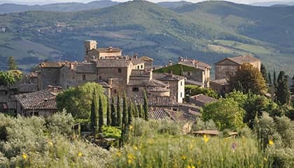 tenuta di carleone wein