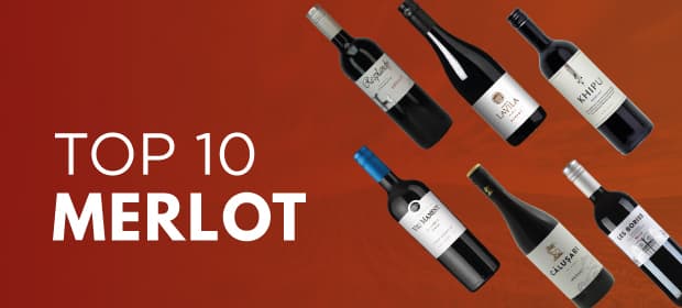 Top 10 Merlot-Weine